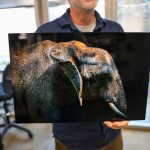 Metal Prints - Image 1