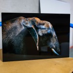 Metal Prints - Image 6