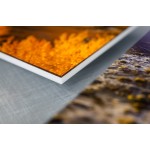Acrylic Designer Series - Image 4