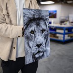 Dibond Prints - Image 2