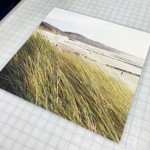 Giclée Paper Prints - Image 3